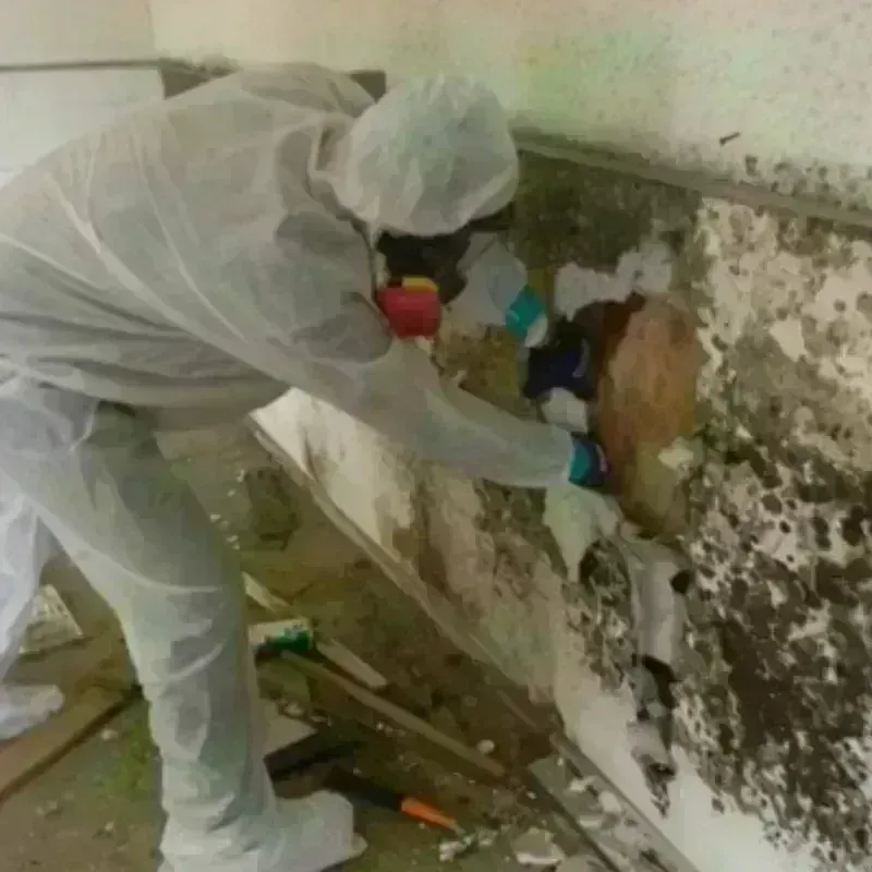 Mold Remediation and Removal in Jefferson County, KS