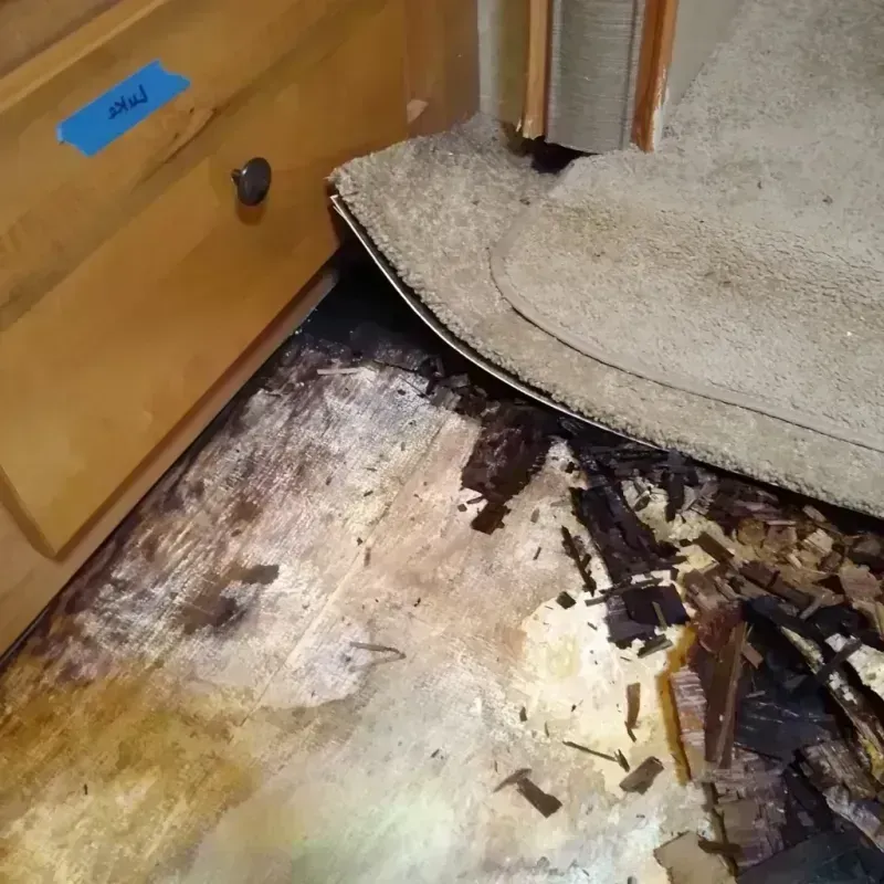 Wood Floor Water Damage in Jefferson County, KS